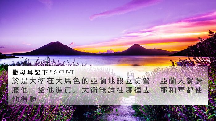 撒 母 耳 記 下 8:6 CUVT Bible Verse Image
