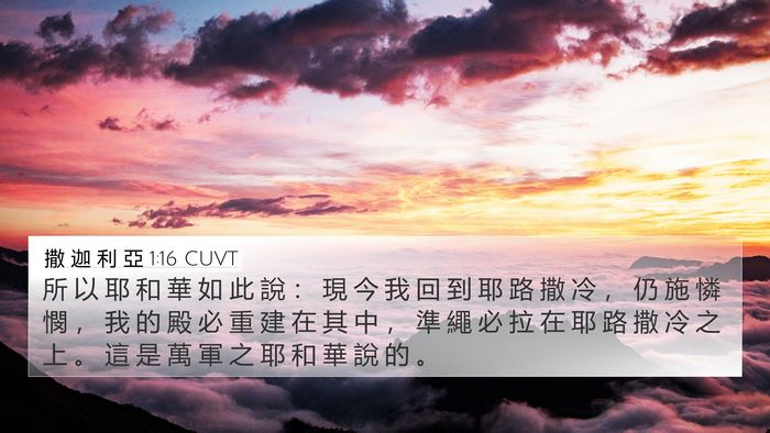 撒 迦 利 亞 1:16 CUVT Bible Verse Image