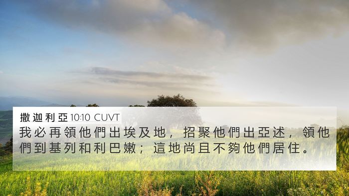 撒 迦 利 亞 10:10 CUVT Bible Verse Image
