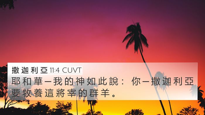 撒 迦 利 亞 11:4 CUVT Bible Verse Image