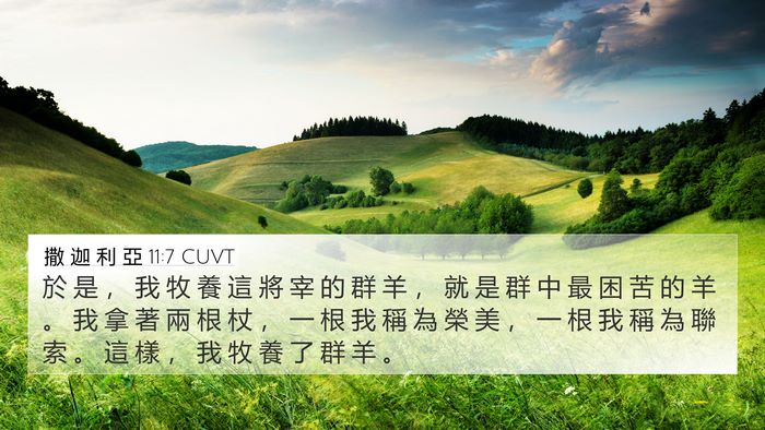 撒 迦 利 亞 11:7 CUVT Bible Verse Image