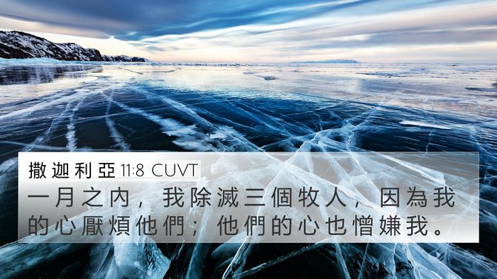 撒 迦 利 亞 11:8 CUVT Bible Verse Image