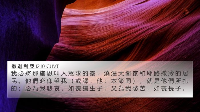 撒 迦 利 亞 12:10 CUVT Bible Verse Image