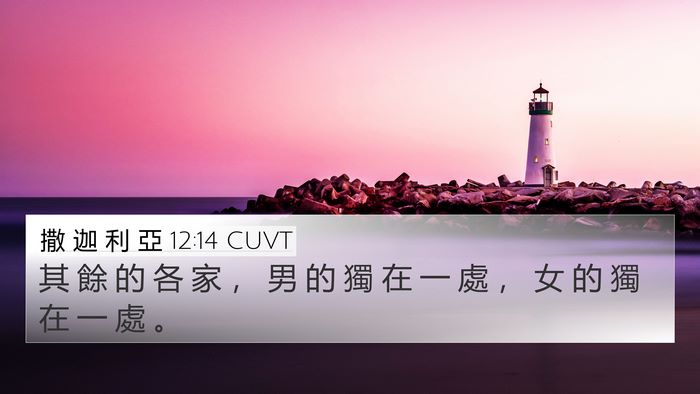撒 迦 利 亞 12:14 CUVT 4K Wallpaper - 其 餘 的 各 家 ， 男 的 獨 在 一 處 - 4K Wallpaper Bible Verse