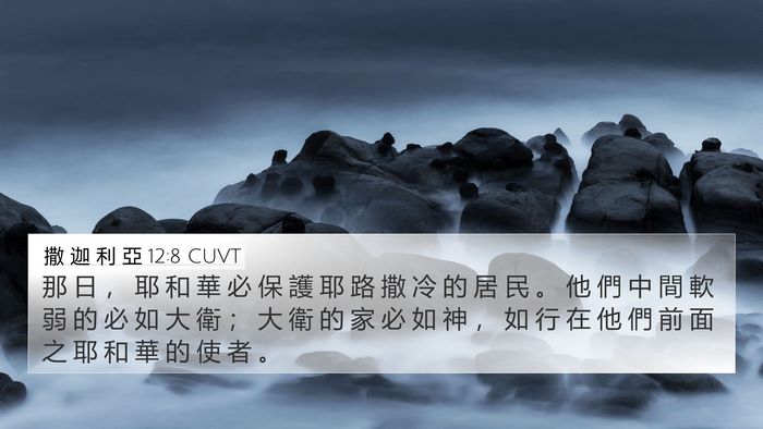 撒 迦 利 亞 12:8 CUVT Bible Verse Image