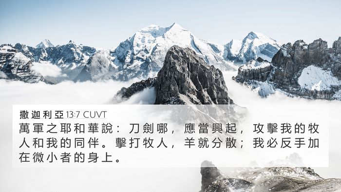 撒 迦 利 亞 13:7 CUVT Bible Verse Image