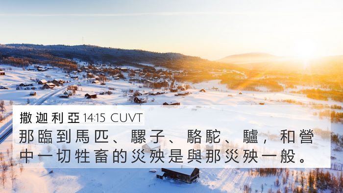撒 迦 利 亞 14:15 CUVT Bible Verse Image
