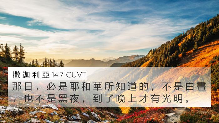 撒 迦 利 亞 14:7 CUVT Bible Verse Image