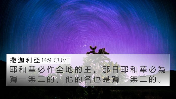 撒 迦 利 亞 14:9 CUVT Bible Verse Image