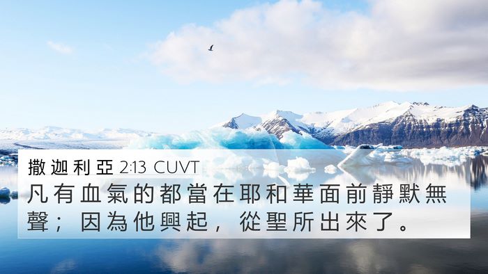 撒 迦 利 亞 2:13 CUVT Bible Verse Image
