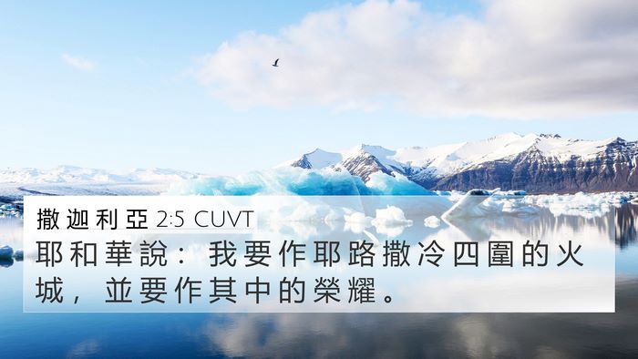 撒 迦 利 亞 2:5 CUVT Bible Verse Image