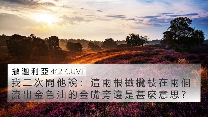 撒 迦 利 亞 4:12 CUVT Bible Verse Image