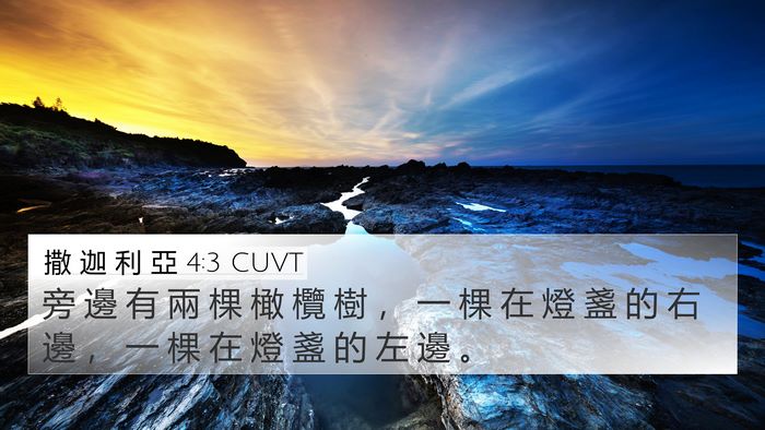 撒 迦 利 亞 4:3 CUVT 4K Wallpaper - 旁 邊 有 兩 棵 橄 欖 樹 ， 一 棵 在 - 4K Wallpaper Bible Verse