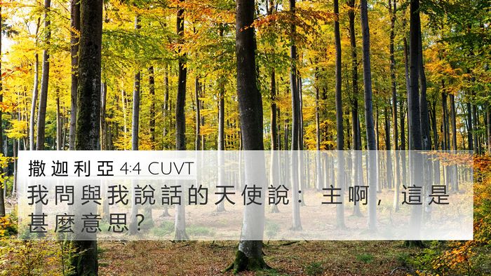 撒 迦 利 亞 4:4 CUVT 4K Wallpaper - 我 問 與 我 說 話 的 天 使 說 ： 主 - 4K Wallpaper Bible Verse