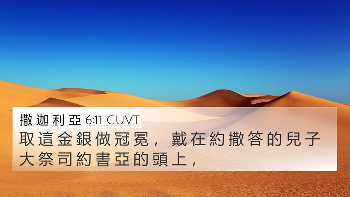 撒 迦 利 亞 6:11 CUVT Bible Verse Image