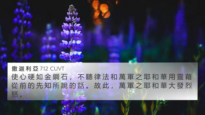 撒 迦 利 亞 7:12 CUVT Bible Verse Image