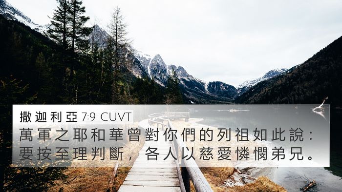 撒 迦 利 亞 7:9 CUVT Bible Verse Image