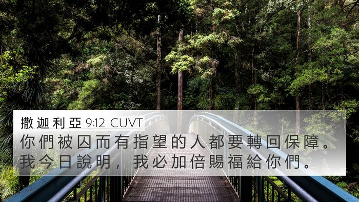 撒 迦 利 亞 9:12 CUVT 4K Wallpaper - 你 們 被 囚 而 有 指 望 的 人 都 要 - 4K Wallpaper Bible Verse
