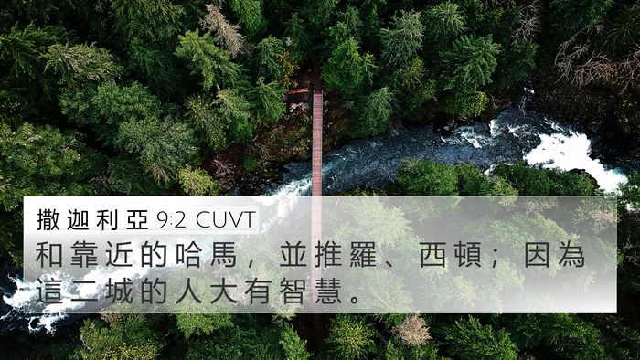 撒 迦 利 亞 9:2 CUVT Bible Verse Image