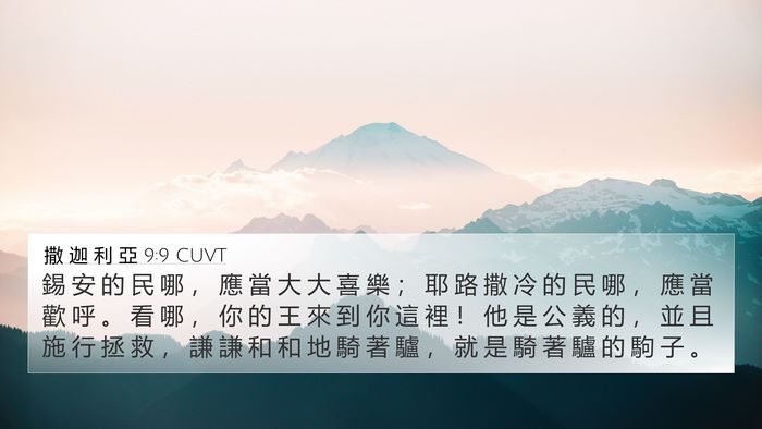 撒 迦 利 亞 9:9 CUVT Bible Verse Image