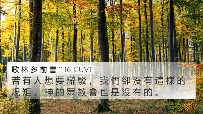 歌 林 多 前 書 11:16 CUVT Bible Verse Image