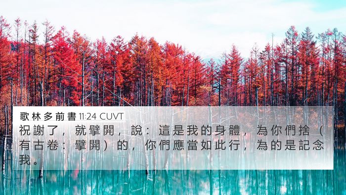 歌 林 多 前 書 11:24 CUVT Bible Verse Image