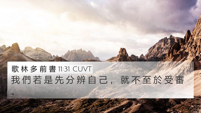 歌 林 多 前 書 11:31 CUVT Bible Verse Image