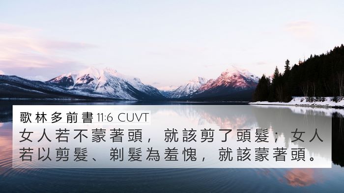 歌 林 多 前 書 11:6 CUVT 4K Wallpaper - 女 人 若 不 蒙 著 頭 ， 就 該 剪 了 - 4K Wallpaper Bible Verse