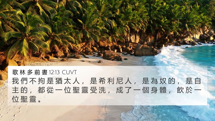 歌 林 多 前 書 12:13 CUVT Bible Verse Image