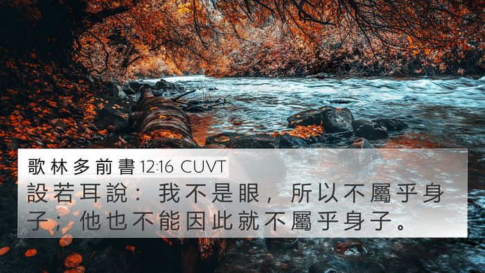 歌 林 多 前 書 12:16 CUVT 4K Wallpaper - 設 若 耳 說 ： 我 不 是 眼 ， 所 以 - 4K Wallpaper Bible Verse