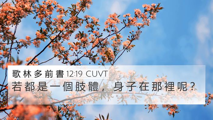 歌 林 多 前 書 12:19 CUVT 4K Wallpaper - 若 都 是 一 個 肢 體 ， 身 子 在 那 - 4K Wallpaper Bible Verse