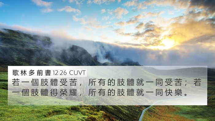 歌 林 多 前 書 12:26 CUVT Bible Verse Image