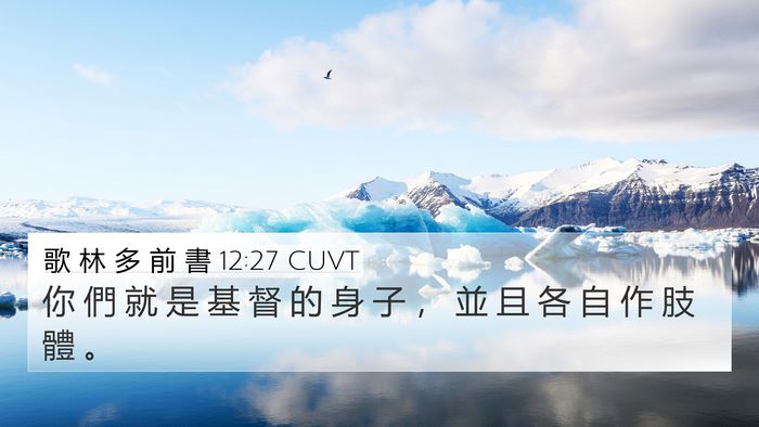 歌 林 多 前 書 12:27 CUVT Bible Verse Image