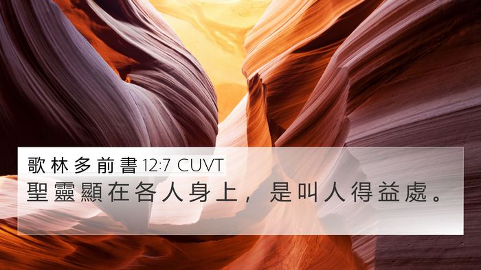 歌 林 多 前 書 12:7 CUVT Bible Verse Image