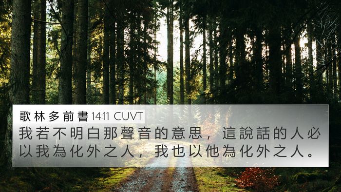 歌 林 多 前 書 14:11 CUVT 4K Wallpaper - 我 若 不 明 白 那 聲 音 的 意 思 ， - 4K Wallpaper Bible Verse