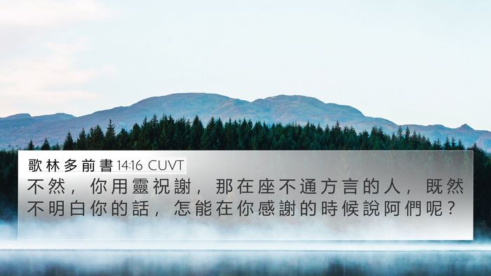 歌 林 多 前 書 14:16 CUVT Bible Verse Image