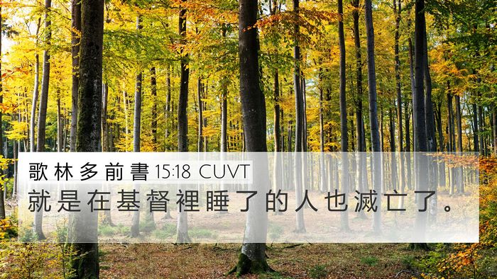 歌 林 多 前 書 15:18 CUVT 4K Wallpaper - 就 是 在 基 督 裡 睡 了 的 人 也 滅 - 4K Wallpaper Bible Verse
