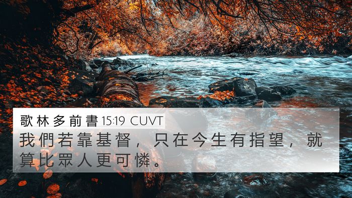歌 林 多 前 書 15:19 CUVT 4K Wallpaper - 我 們 若 靠 基 督 ， 只 在 今 生 有 - 4K Wallpaper Bible Verse