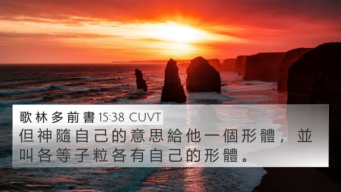 歌 林 多 前 書 15:38 CUVT Bible Verse Image