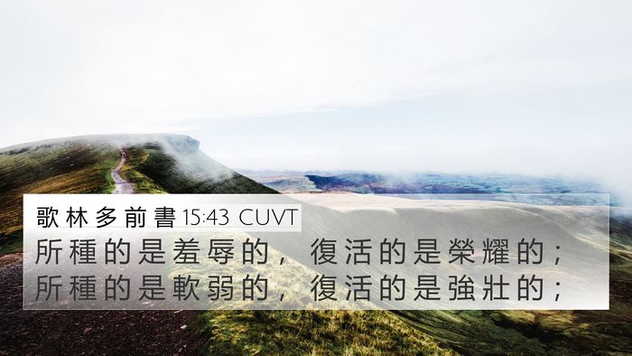 歌 林 多 前 書 15:43 CUVT Bible Verse Image