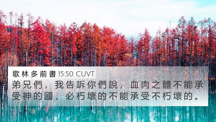 歌 林 多 前 書 15:50 CUVT Bible Verse Image