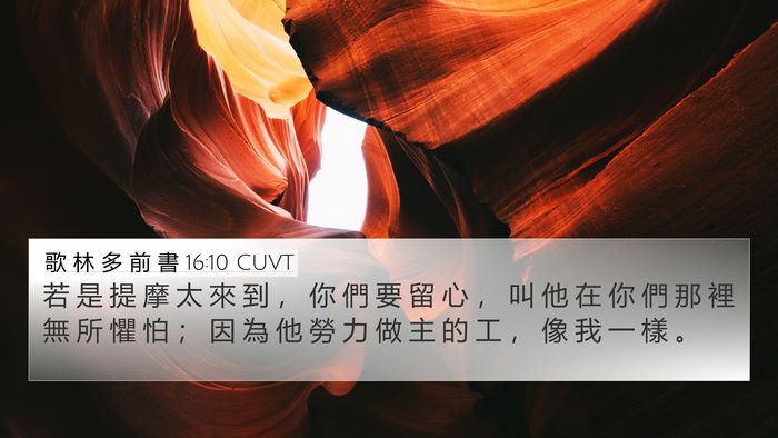 歌 林 多 前 書 16:10 CUVT Bible Verse Image