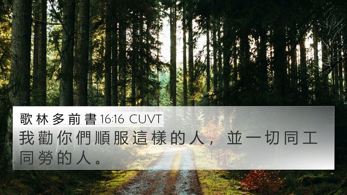歌 林 多 前 書 16:16 CUVT Bible Verse Image