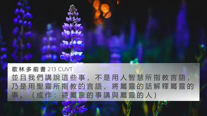 歌 林 多 前 書 2:13 CUVT Bible Verse Image