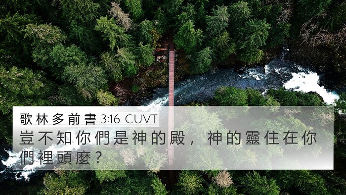 歌 林 多 前 書 3:16 CUVT Bible Verse Image