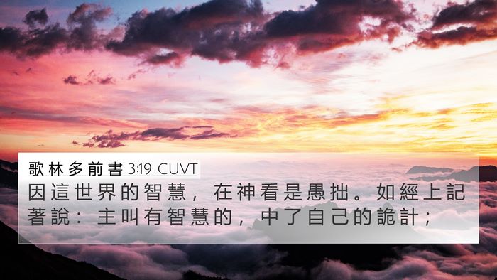 歌 林 多 前 書 3:19 CUVT Bible Verse Image