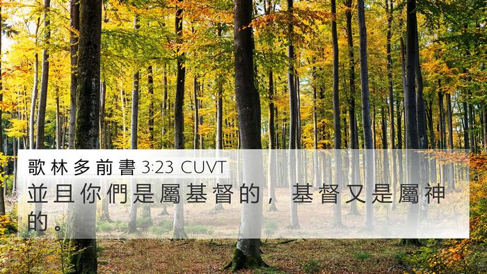 歌 林 多 前 書 3:23 CUVT Bible Verse Image