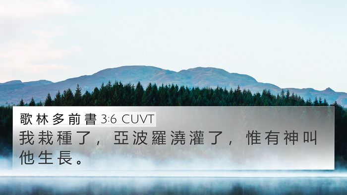 歌 林 多 前 書 3:6 CUVT Bible Verse Image