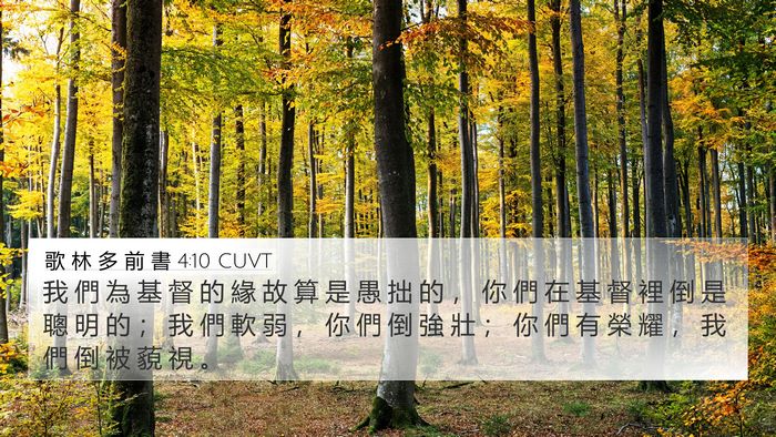 歌 林 多 前 書 4:10 CUVT Bible Verse Image