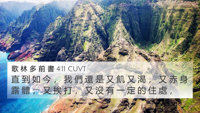 歌 林 多 前 書 4:11 CUVT Bible Verse Image